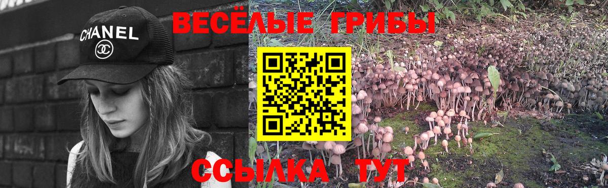 Псилоцибиновые грибы ЛСД Кемерово