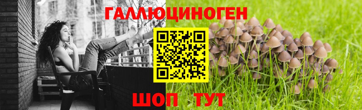 Псилоцибиновые грибы Cubensis  Вход с VPN  как найти наркотики  Галлюциногенные грибы Psilocybine cubensis  Кемерово 